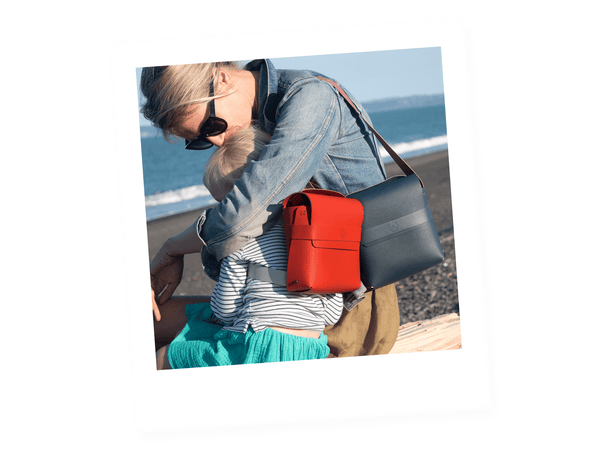 Wishbone Bike Bag
