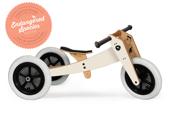 Wooden off-white running trike with yellow eyed penguin artwork