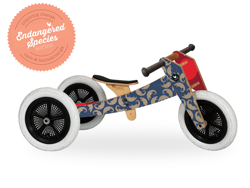 Wishbone Original 3-in-1 Balance Bike – Wishbone Design